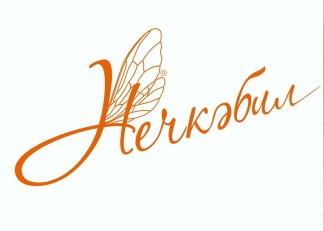 В Татарстане стартовал Республиканский конкурс красоты материнства и семьи «Нечкэбил – 2026»