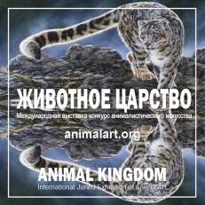 Мастер из Нижнекамска стал победителем выставки-конкурса «Животное царство»