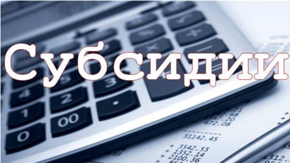 Объявлен конкурс на получение грантов правительства Татарстана на поддержку НХП