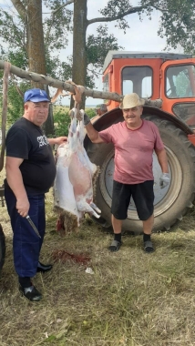 Мужчины села Владимирово закололи жертвенную овцу 